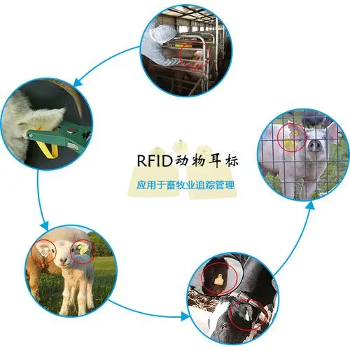 rfid電子標簽