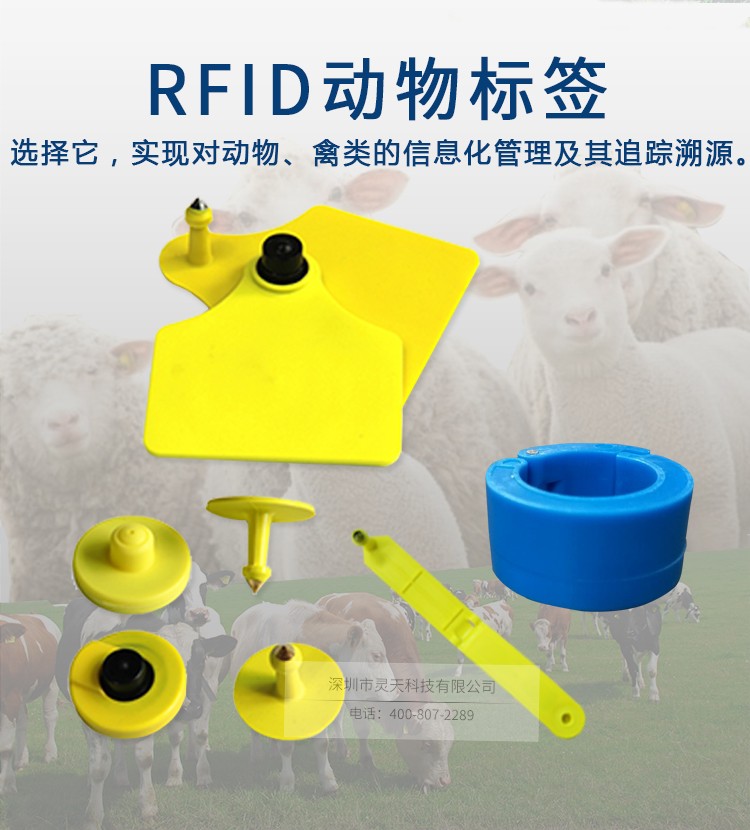 rfid電子標簽