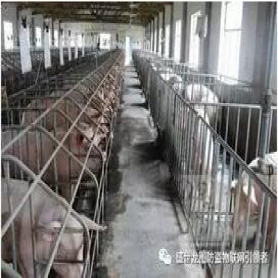 養殖業中的RFID技術解決方案